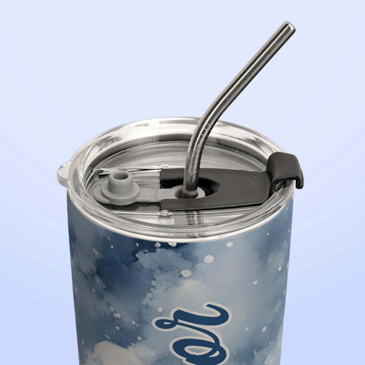 Penguin Lover HTRZ15096738UF Stainless Steel Tumbler